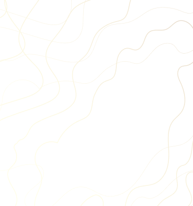 Background lines overlay